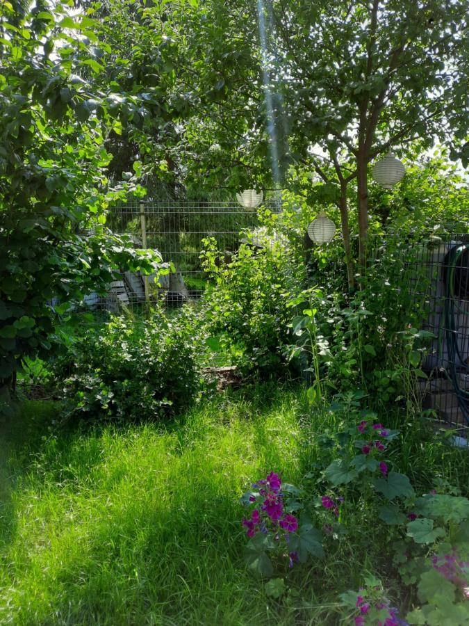 Gaestewohnung Am Thuemmlitzwald グリンマ エクステリア 写真