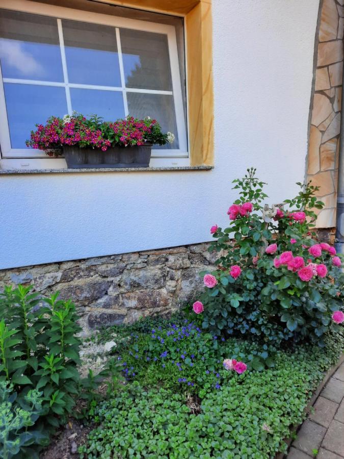 Gaestewohnung Am Thuemmlitzwald グリンマ エクステリア 写真